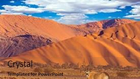  Presentation with world tourism - Beautiful PPT theme featuring concept of extreme and exotic tourism african oryx gaselle standing at the road sunset in the namib desert the oldest in the world namibia south africa backdrop and a red colored foreground