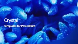  Presentation with chrysanthemum - PPT theme featuring olfaction - blue chrysanthemum background and a royal blue colored foreground