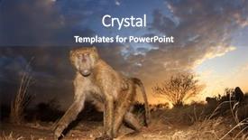  Presentation with olive - Presentation design having olive baboon in kenya background and a ocean colored foreground