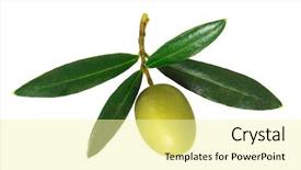  Presentation with olive branch - Audience pleasing theme consisting of olive branch with green olives backdrop and a blonde colored foreground