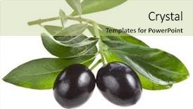  Presentation with olive branch - Amazing slides having olive branch with olives backdrop and a yellow colored foreground