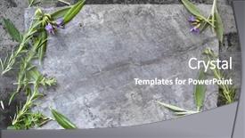  Presentation with dark flower - Presentation design consisting of olive flower - food background with fresh herbs background and a gray colored foreground