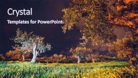  Presentation with olive - Cool new presentation design with olive garden under the moonlight backdrop and a wine colored foreground