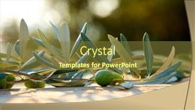  Presentation with olive green - 