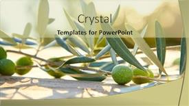  Presentation with olive branch - PPT theme having olive-oil-and-olive-branch background and a blonde colored foreground