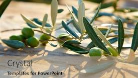  Presentation with olive branch - Theme enhanced with olive-oil-and-olive-branch background and a coral colored foreground