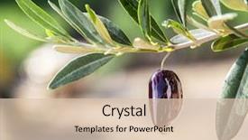  Presentation with oil drops - Audience pleasing presentation theme consisting of olive oil drops backdrop and a lemonade colored foreground