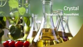  Presentation with extra virgin olive oil - PPT theme consisting of olive oil extra virgin background and a seafoam green colored foreground