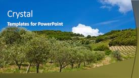  Presentation with olive tree - Presentation design featuring olive-tree-in-tuscany-over background and a teal colored foreground