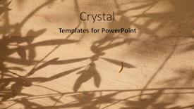  Presentation with olive tree - Audience pleasing PPT layouts consisting of olive-tree-leaves-shadows backdrop and a coral colored foreground