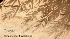  Presentation with olive tree - Slide deck featuring olive-tree-leaves-shadows background and a lemonade colored foreground