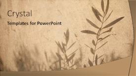  Presentation with olive tree - Presentation theme having olive-tree-leaves-shadows background and a lemonade colored foreground