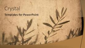  Presentation with olive tree - Audience pleasing PPT theme consisting of olive-tree-leaves-shadows backdrop and a coral colored foreground