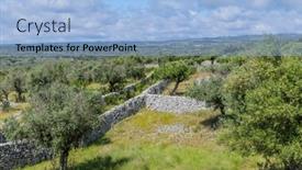  Presentation with olive trees - PPT theme featuring olive-trees-among-fields background and a light blue colored foreground