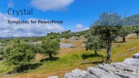  Presentation with olive trees - Presentation theme featuring olive-trees-among-fields background and a light blue colored foreground