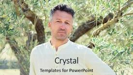  Presentation with olive trees garden mediterranean olive - Amazing PPT layouts having olive trees handsome man posing backdrop and a soft green colored foreground