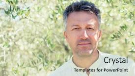  Presentation with olive trees garden mediterranean olive - PPT theme enhanced with olive trees handsome man posing background and a mint green colored foreground