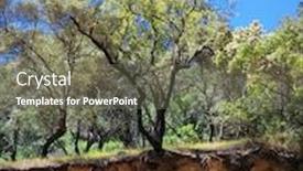  Presentation with olive trees - Audience pleasing PPT theme consisting of olive-trees-with-roots backdrop and a gray colored foreground