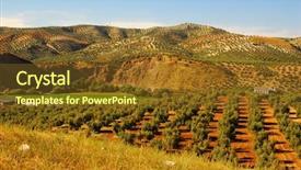  Presentation with olive trees - Amazing PPT theme having olive trees backdrop and a tawny brown colored foreground