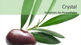  Presentation with olive - PPT theme enhanced with olive with leaves background and a seafoam green colored foreground