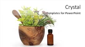  Presentation with oregano - Colorful slides enhanced with olive wood mortar with pestle backdrop and a white colored foreground