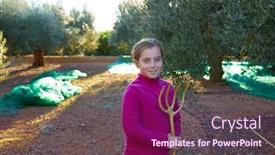  Presentation with harvest - Amazing slide deck having olives-harvest-farmer-kid-girl backdrop and a violet colored foreground