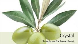  Presentation with olive - Audience pleasing PPT theme consisting of olives with leaves backdrop and a yellow colored foreground