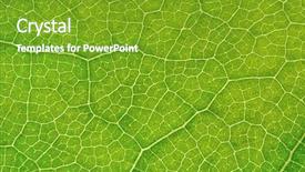  Presentation with structure - Colorful presentation theme enhanced with olympic backgrounds - structure of leaf natural background backdrop and a tawny brown colored foreground