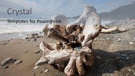  Presentation with olympic - Beautiful presentation theme featuring olympic national park landscapes backdrop and a light blue colored foreground