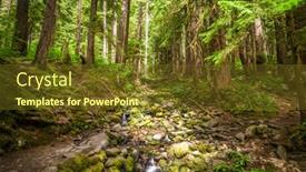 Presentation with olympic - Amazing presentation design having olympic national park washington usa on the trail to sol duc falls backdrop and a tawny brown colored foreground
