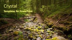  Presentation with sol - Presentation design with olympic-national-park-washington-usa background and a tawny brown colored foreground