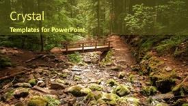  Presentation with olympic - Presentation theme featuring olympic-national-park-washington-usa background and a tawny brown colored foreground