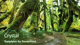  Presentation with olympic - Presentation theme with olympics - sunny forest in olympic park background and a tawny brown colored foreground