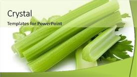  Presentation with process division of cell isolated - Beautiful theme featuring om - celery stalk bunch isolated om backdrop and a blonde colored foreground