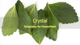  Presentation with leaves - Colorful slide set enhanced with om - stevia leaves pieces isolated om backdrop and a tawny brown colored foreground