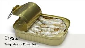 Presentation with sardines - Cool new presentation theme with fatty acid - sardines in open tin isolated backdrop and a mint green colored foreground