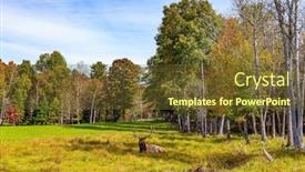  Presentation with wildlife - Slide deck having omega-park-is-great-wildlife background and a tawny brown colored foreground