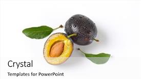  Presentation with white - PPT theme enhanced with one and half washed plums background and a white colored foreground