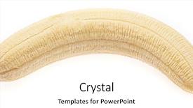  Presentation with scroll paper isolated on white - Amazing presentation theme having one banana isolated backdrop and a white colored foreground