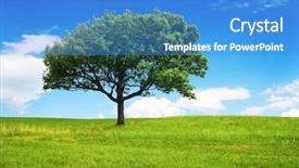  Presentation with green soccer field sport - Audience pleasing PPT layouts consisting of one big tree on green backdrop and a teal colored foreground