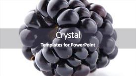  Presentation with blackberry - Presentation design consisting of one blackberry in closeup background and a dark gray colored foreground