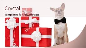  Presentation with blue white and yellow - Amazing slide deck having one color - pale yellow doggy sits near backdrop and a lemonade colored foreground