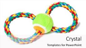  Presentation with olympic games ring - Audience pleasing PPT theme consisting of one direction - dog toy - colorful cotton backdrop and a white colored foreground