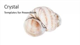  Presentation with minar e pakistan is one - Slide deck enhanced with one empty snail shell isolated background and a white colored foreground