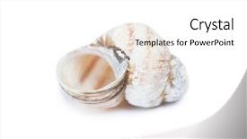  Presentation with snail - Beautiful slide deck featuring one empty snail shell isolated backdrop and a white colored foreground