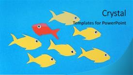  Presentation with swim - Amazing slide deck having one fish swim in different backdrop and a teal colored foreground