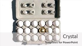 Presentation with gold egg - Colorful theme enhanced with one gold egg among 18 white eggs isolated in its case on white backdrop and a light gray colored foreground