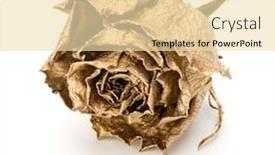  Presentation with rose gold - Presentation featuring one-gold-rose-isolated-over background and a lemonade colored foreground