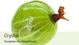  Presentation with gooseberry - PPT theme with one gooseberry fruits isolated on white macro background and a yellow colored foreground