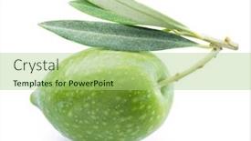  Presentation with olive green - Presentation theme consisting of one-green-natural-olive background and a mint green colored foreground